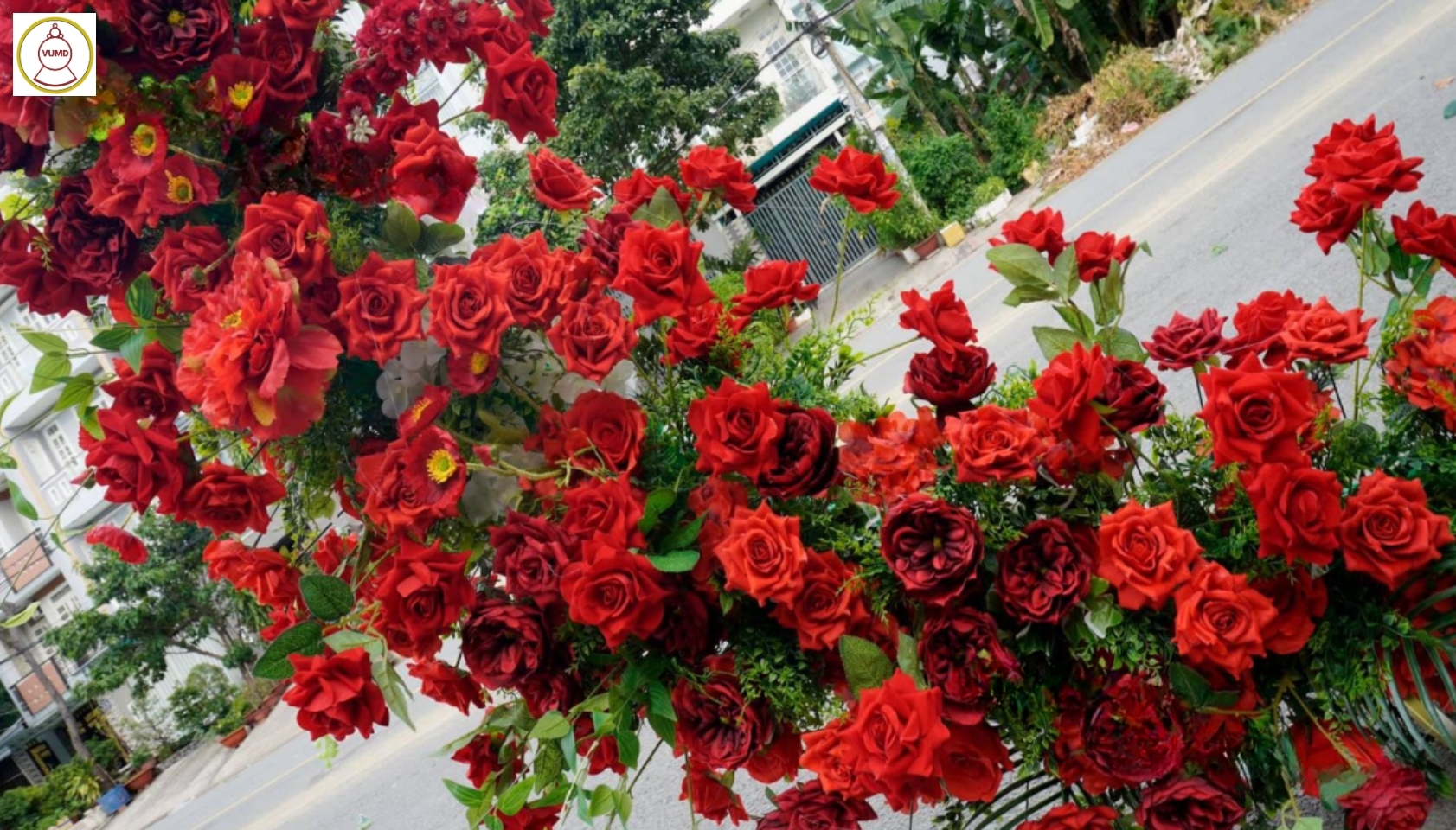 Vòng hoa background trắng đỏ