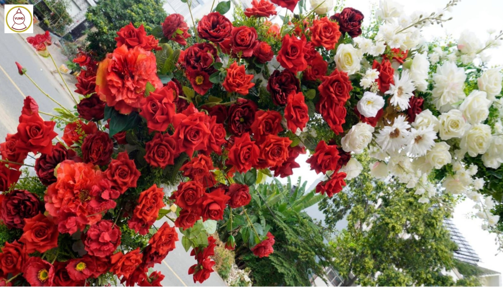 Vòng hoa background trắng đỏ