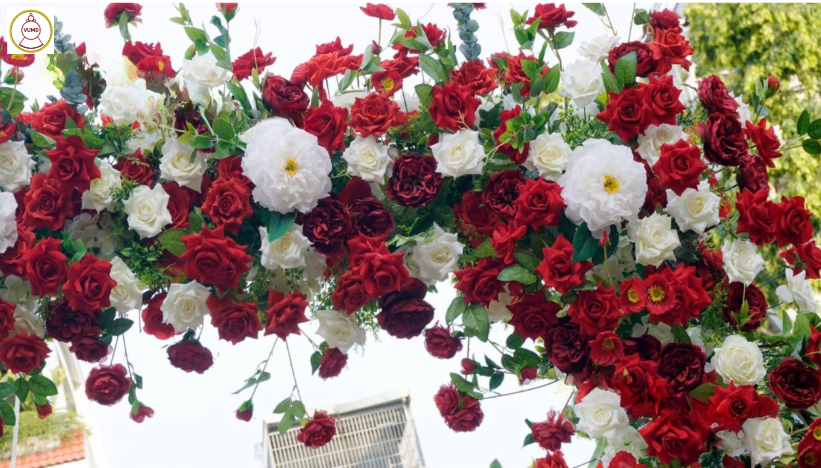 Vòng hoa background trắng đỏ