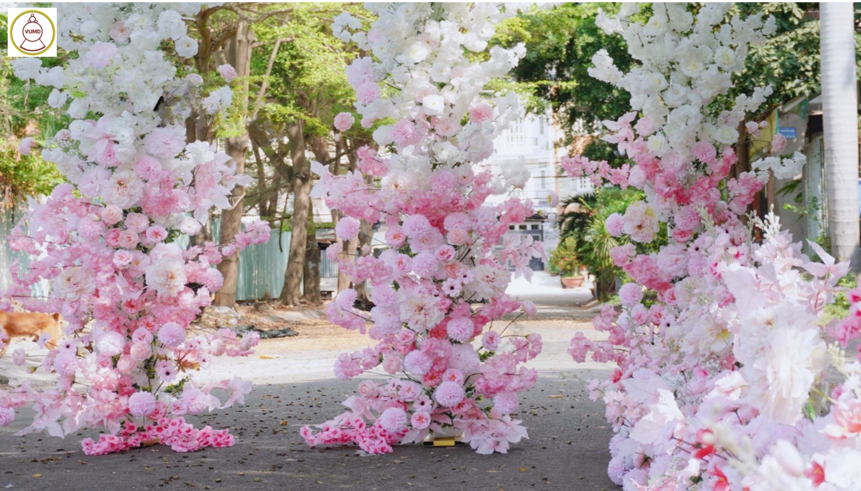 Background hoa lụa cho sự kiện