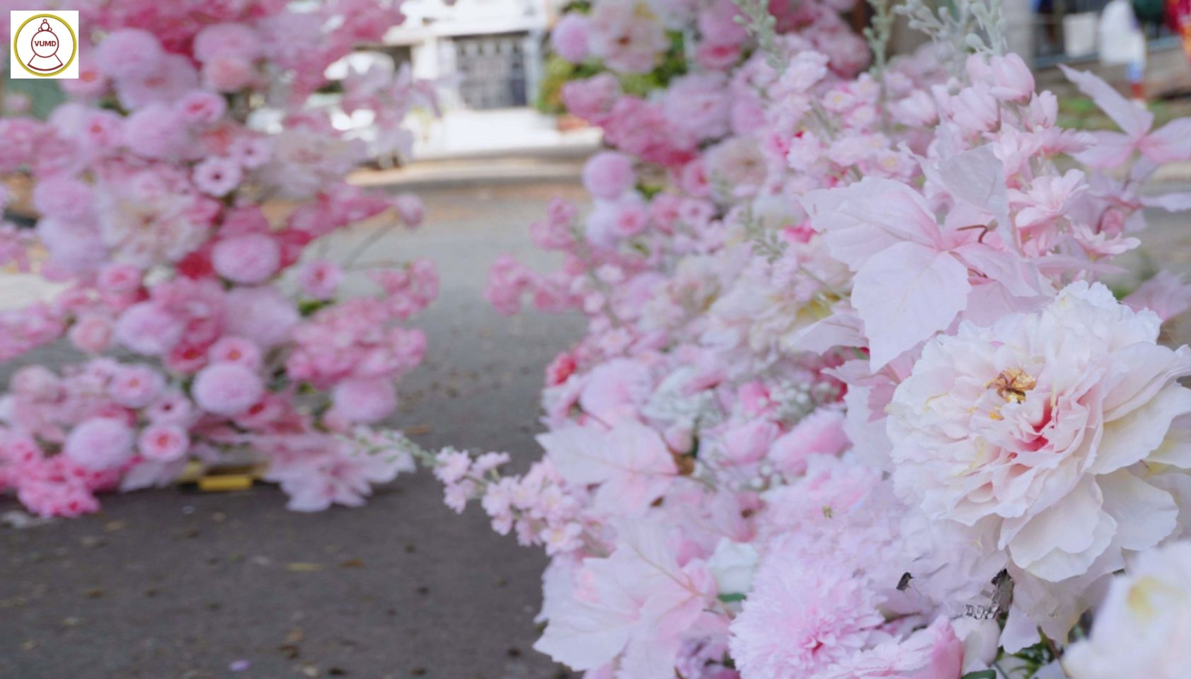 Background hoa lụa cho sự kiện