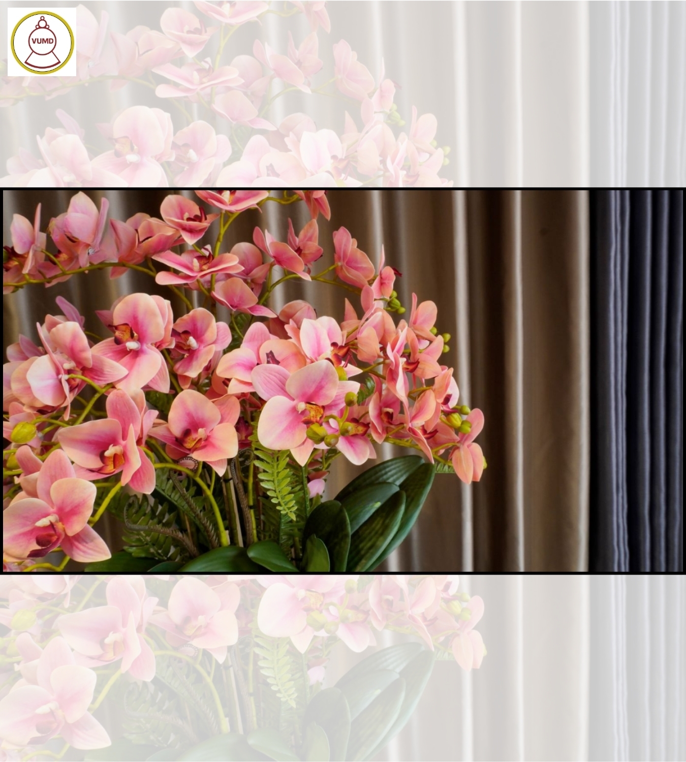 Bình hoa lan hồ điệp