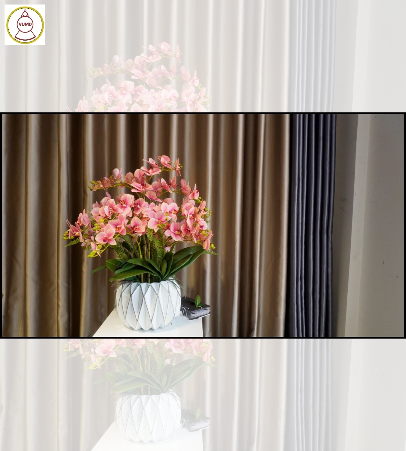 Bình hoa lan hồ điệp