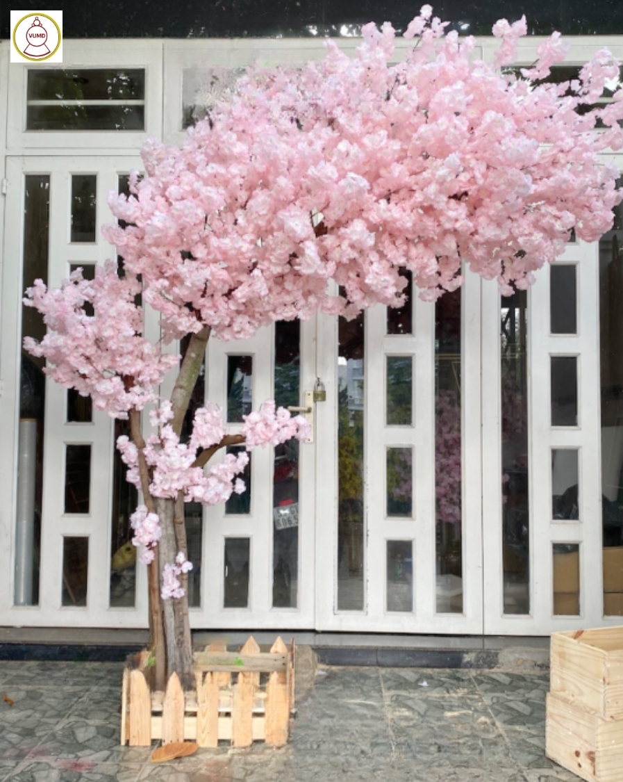 Cây hoa anh đào màu hồng phấn