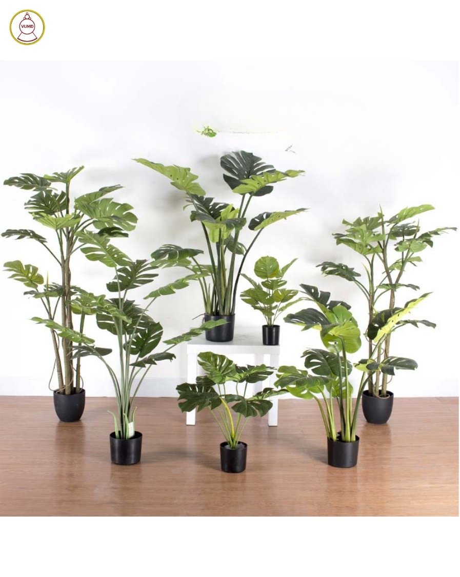 Cây trầu bà giả