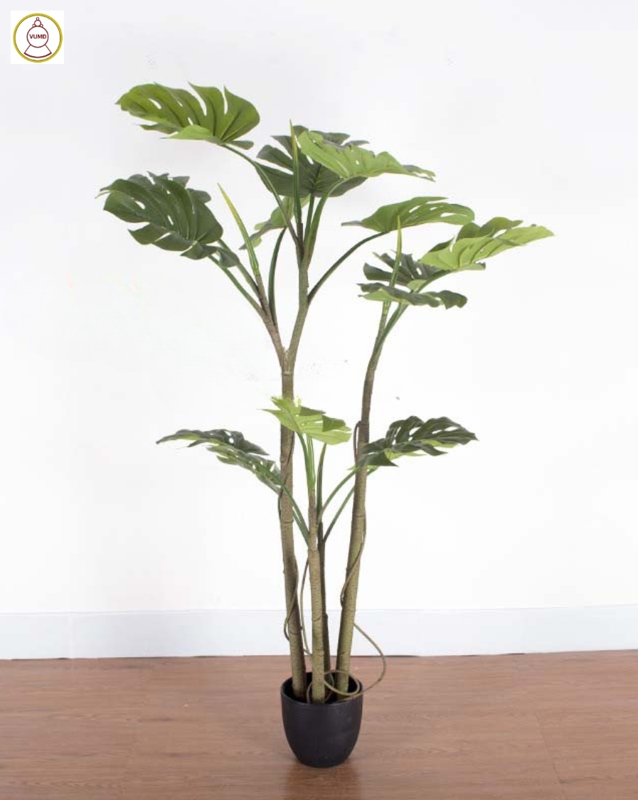 Cây trầu bà giả