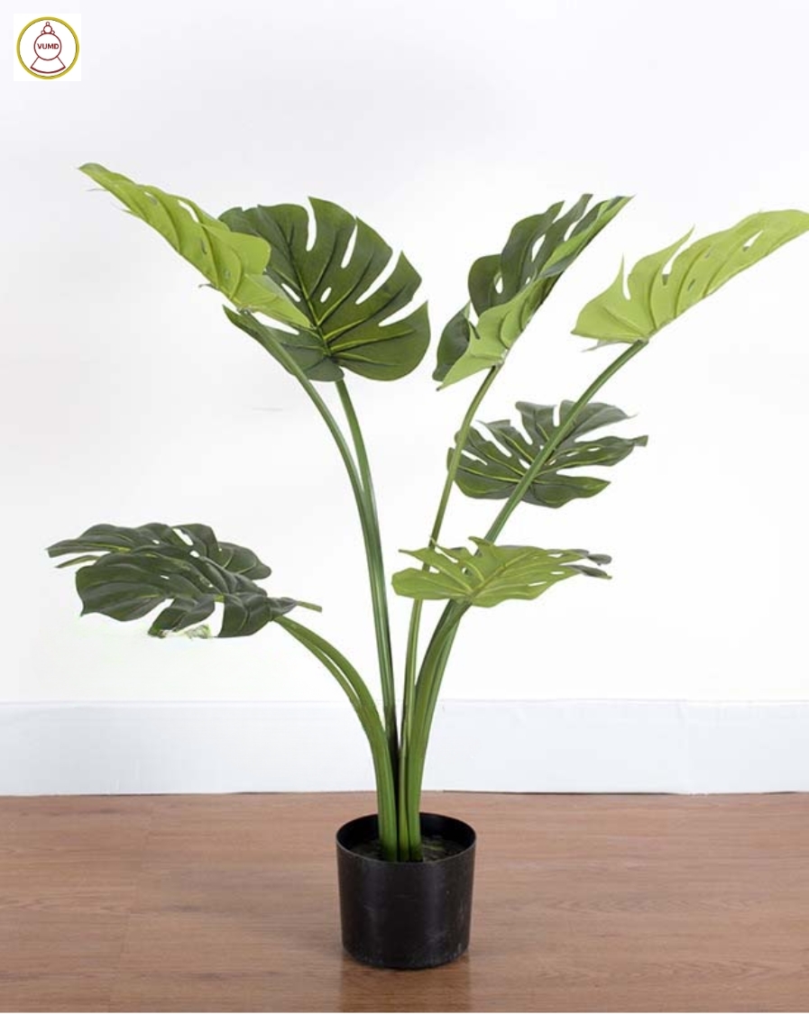 Cây trầu bà giả