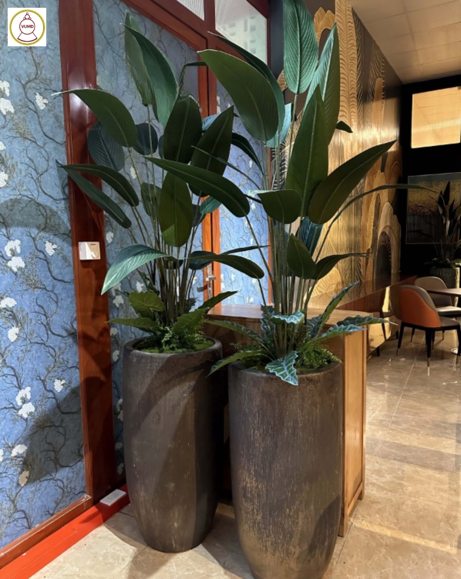 Chậu cây giả trang trí phòng khách