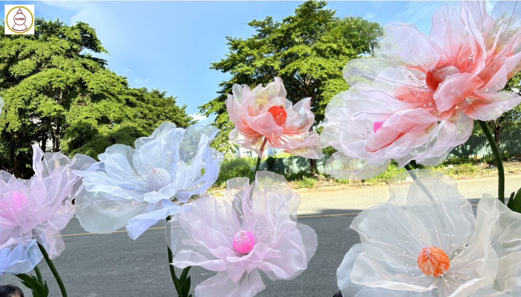 Hoa trang trí đám cưới, quán cafe, studio đẹp 2024