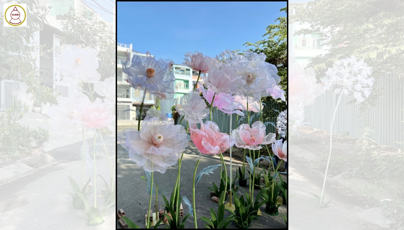 Hoa trang trí đám cưới, quán cafe, studio hot