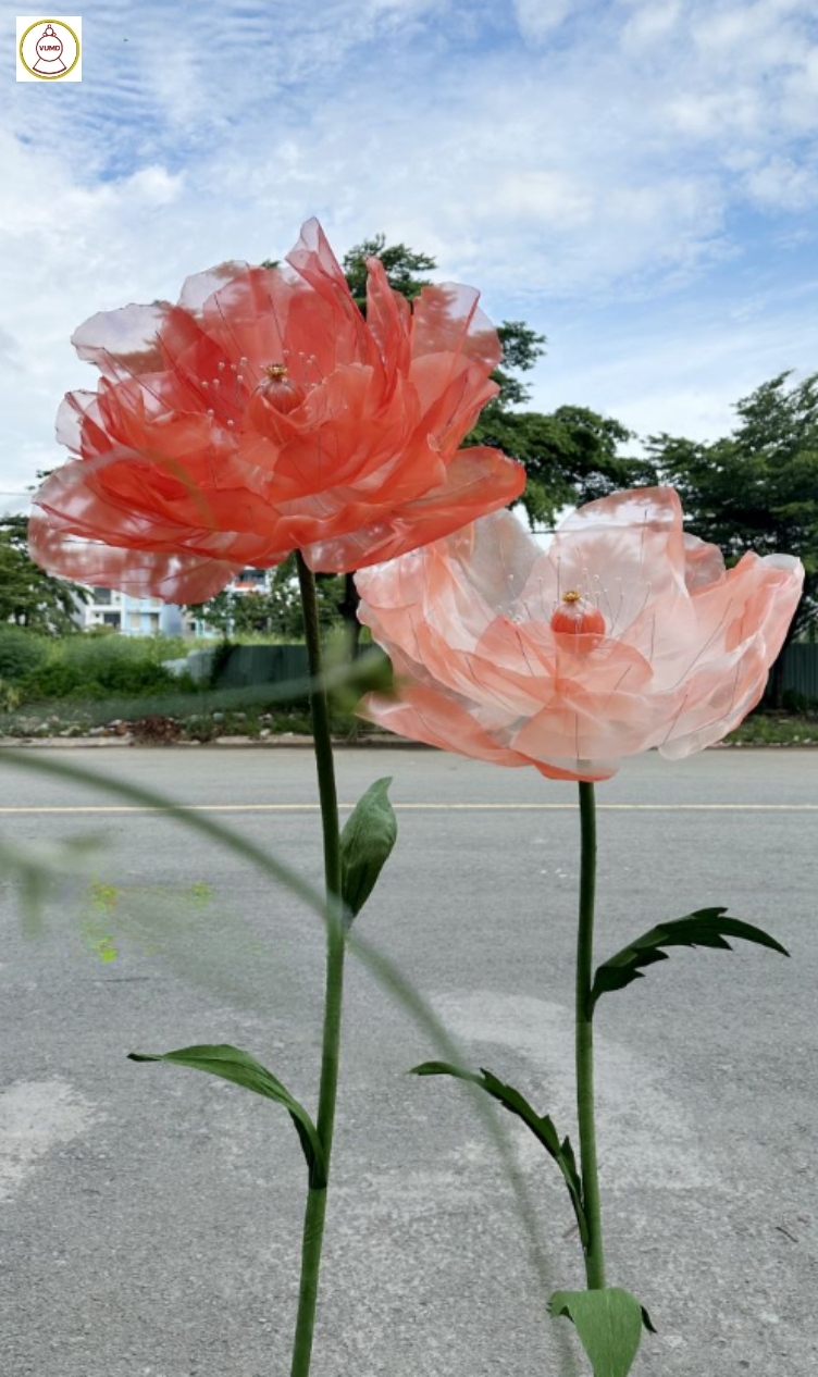 Hoa trang trí đám cưới, quán cafe, studio hot 2024