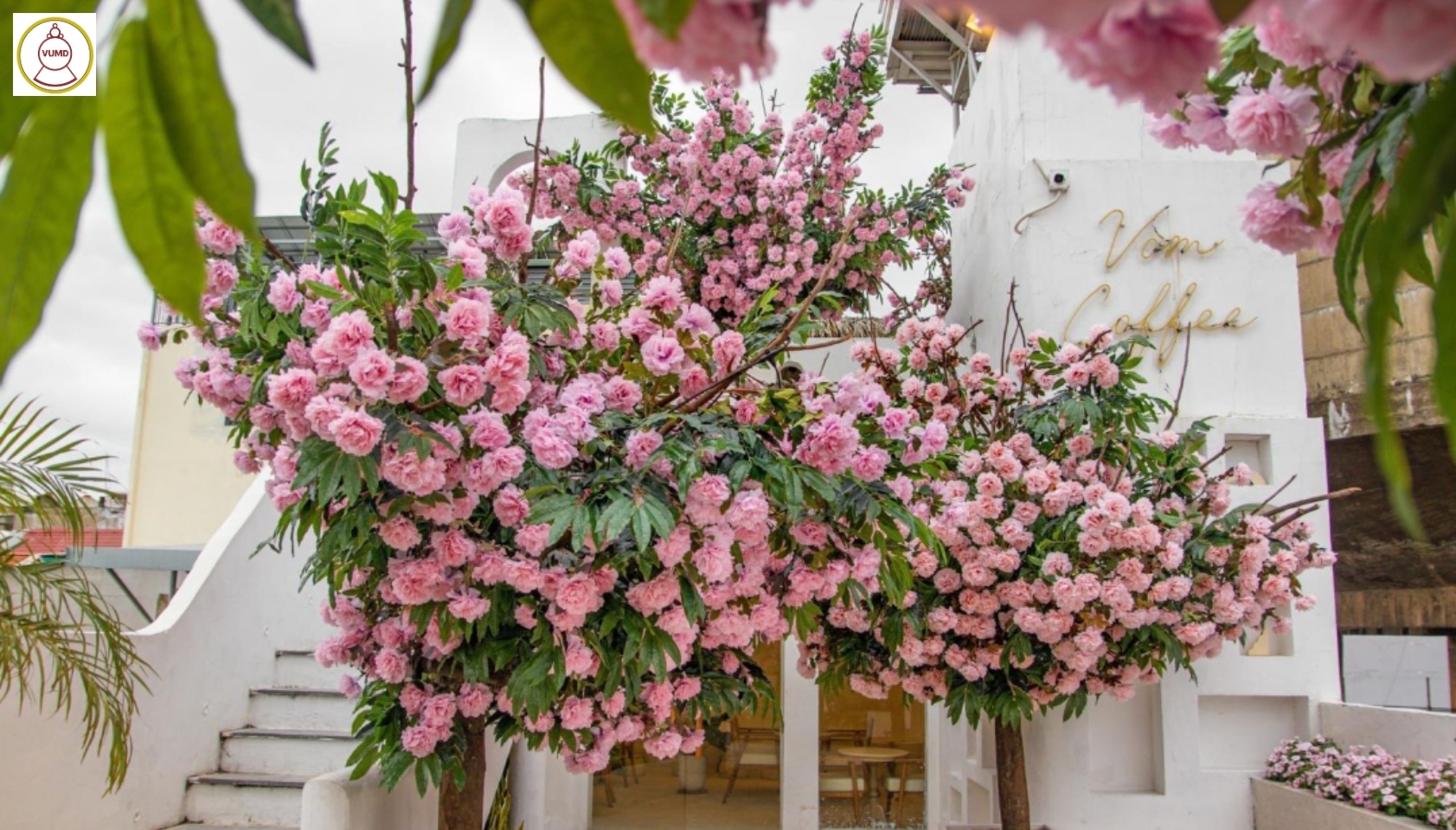 Hoa trang trí đám cưới, quán cafe, studio chất lượng