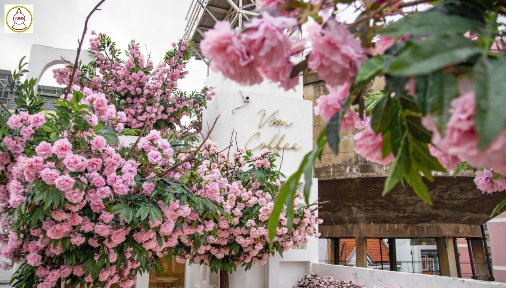 Hoa trang trí đám cưới, quán cafe, studio chất lượng