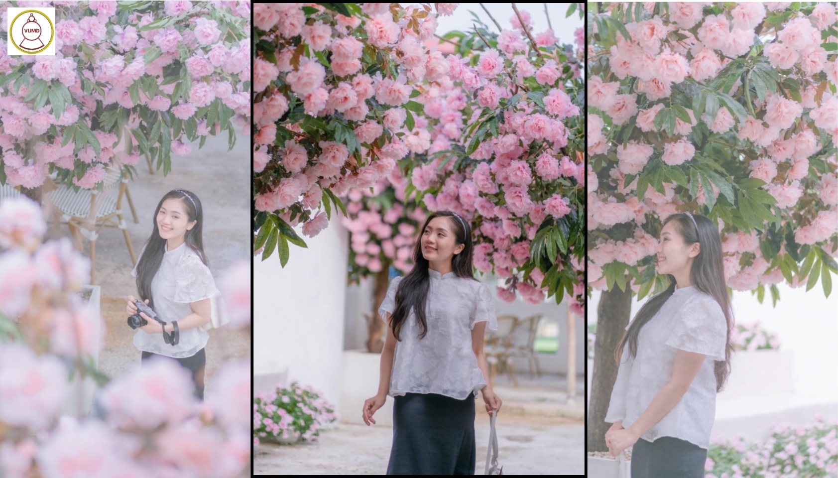 Hoa trang trí đám cưới, quán cafe, studio chất lượng