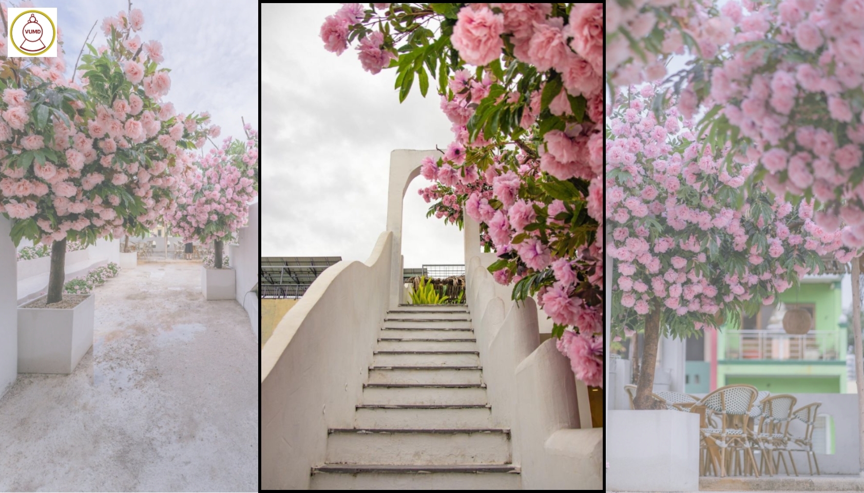 Hoa trang trí đám cưới, quán cafe, studio chất lượng