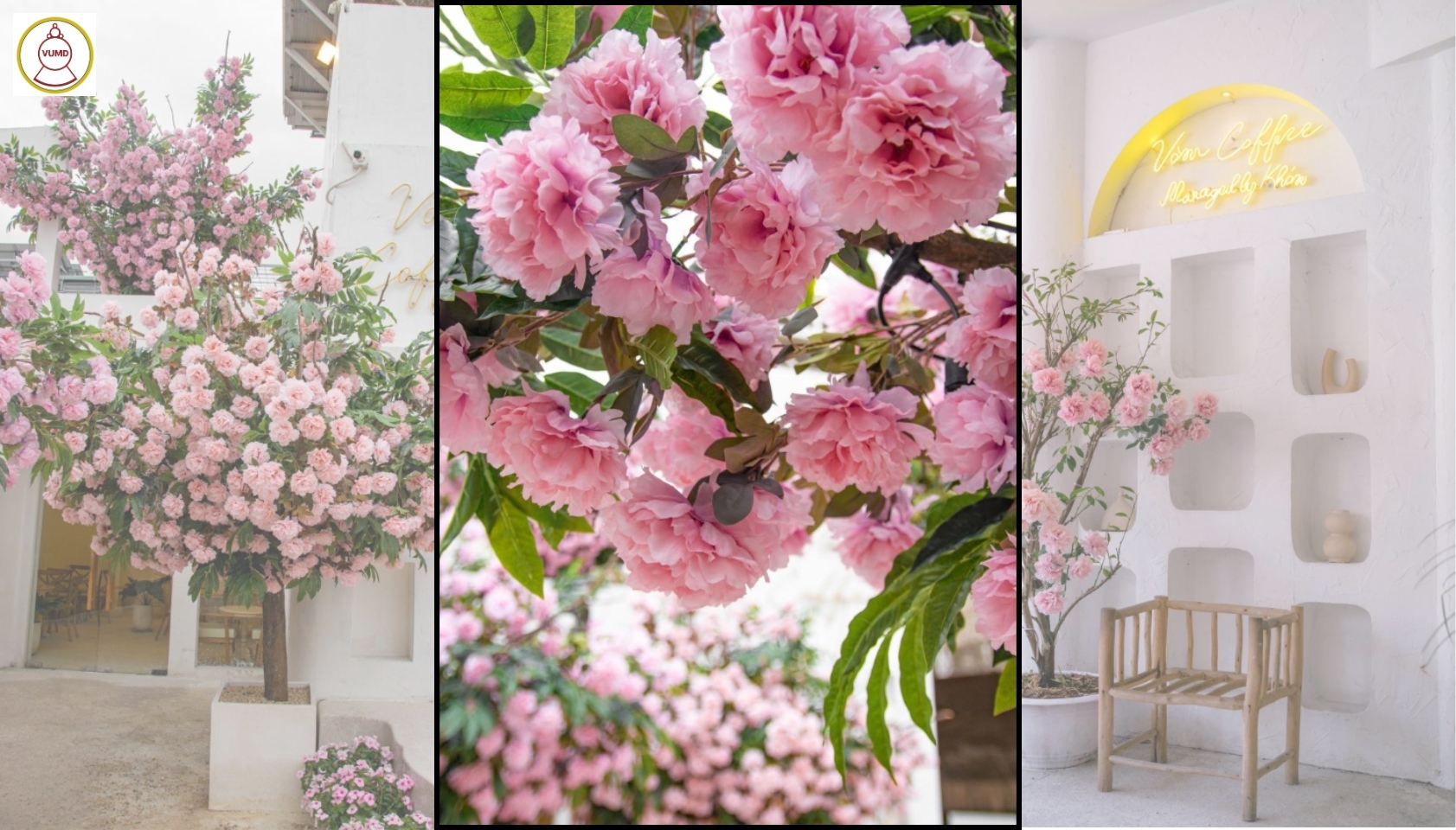 Hoa trang trí đám cưới, quán cafe, studio chất lượng