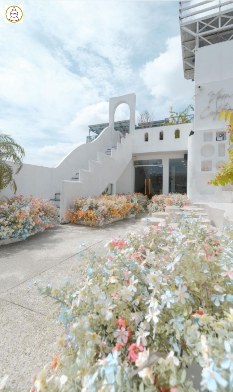 Hoa trang trí đám cưới, quán cafe, studio chất lượng 2024