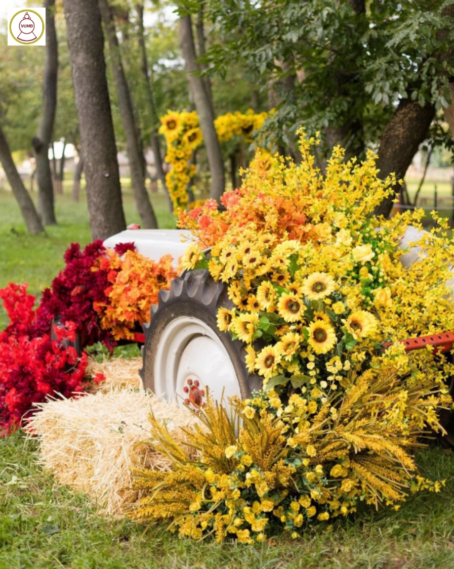 Hoa trang trí đám cưới, không gian nhà, studio chất lượng