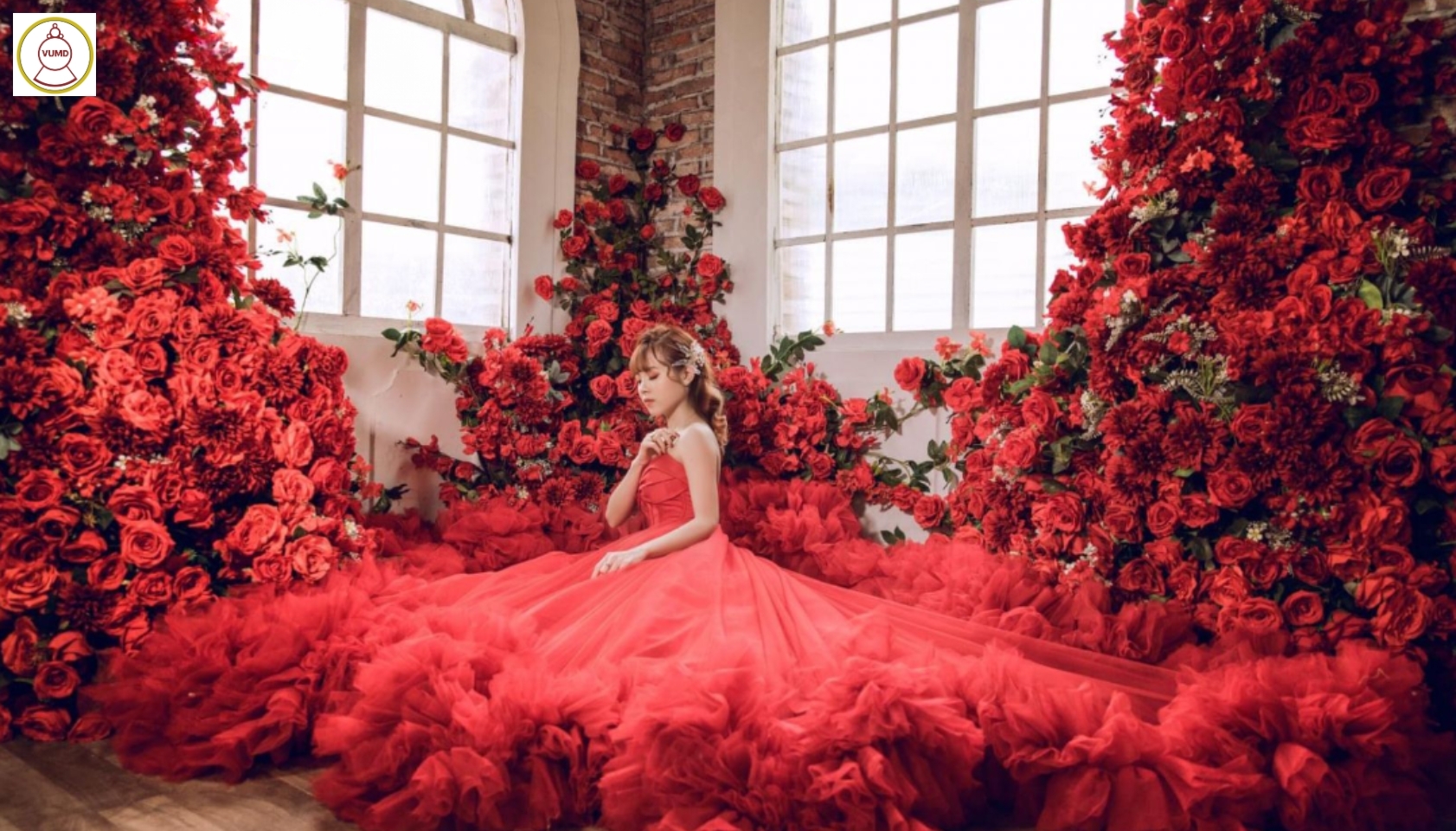 Mẫu hoa trang trí studio chụp ảnh cưới đỏ đô