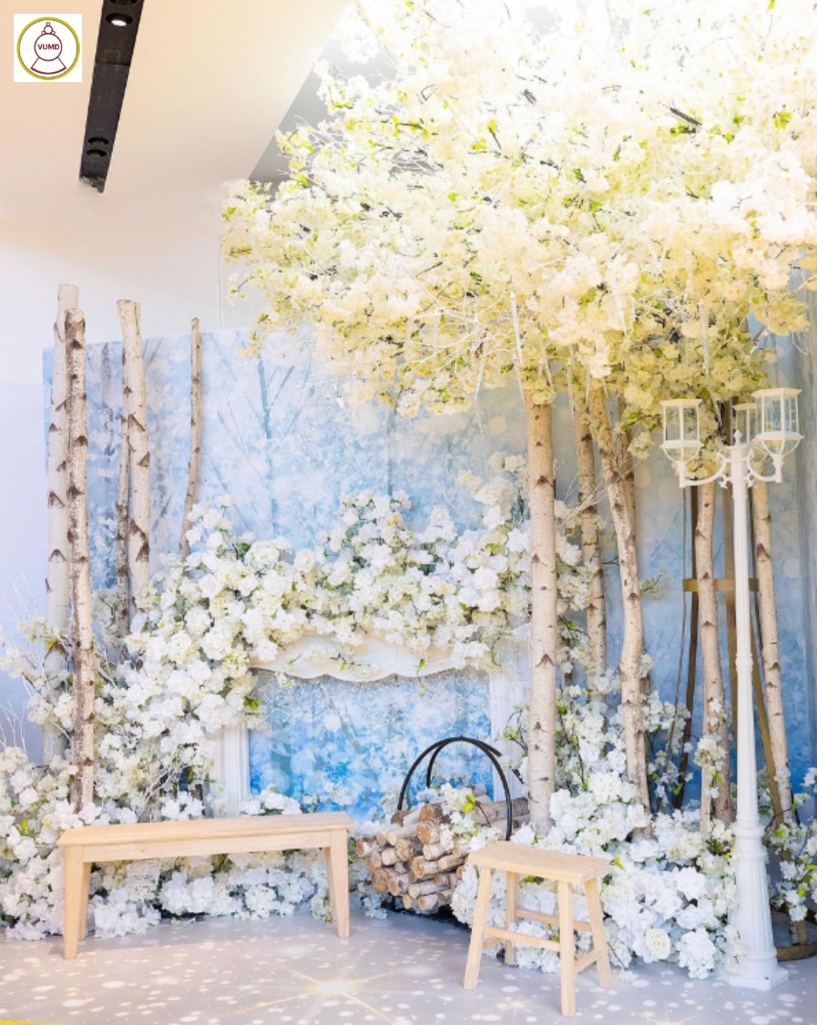 Mẫu trang trí studio phim trường