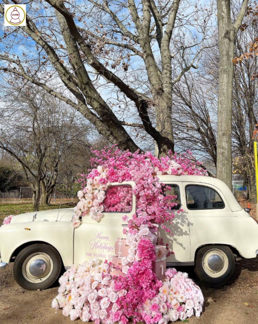 Mẫu trang trí phim trường đẹp