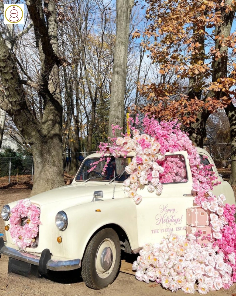 Mẫu trang trí phim trường đẹp