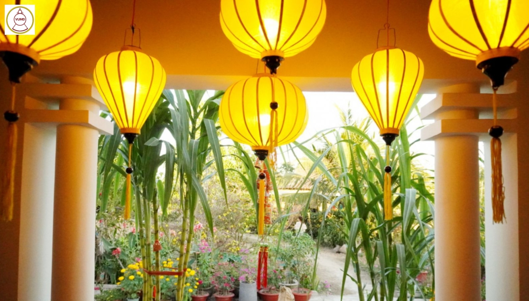 Lồng đèn trang trí quán cafe, nhà hàng