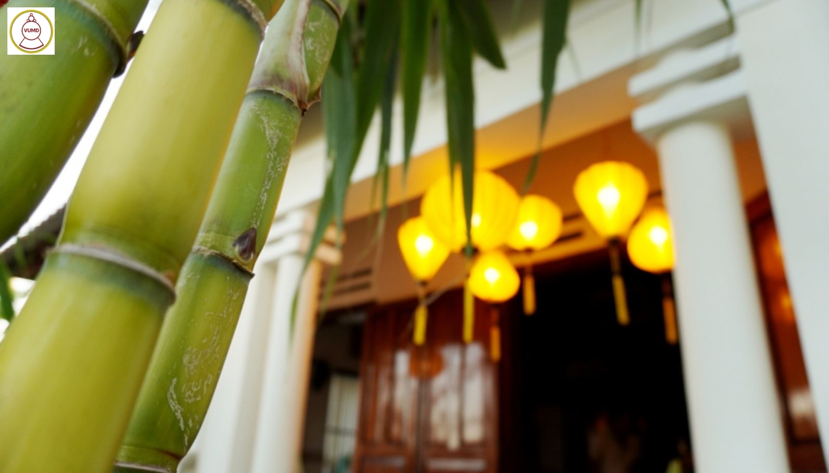 Lồng đèn trang trí quán cafe, nhà hàng