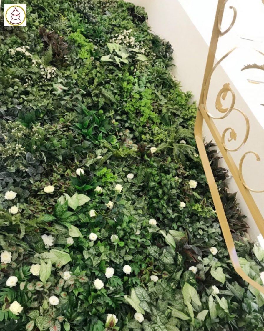 Mẫu cây trang trí không gian nhà đẹp