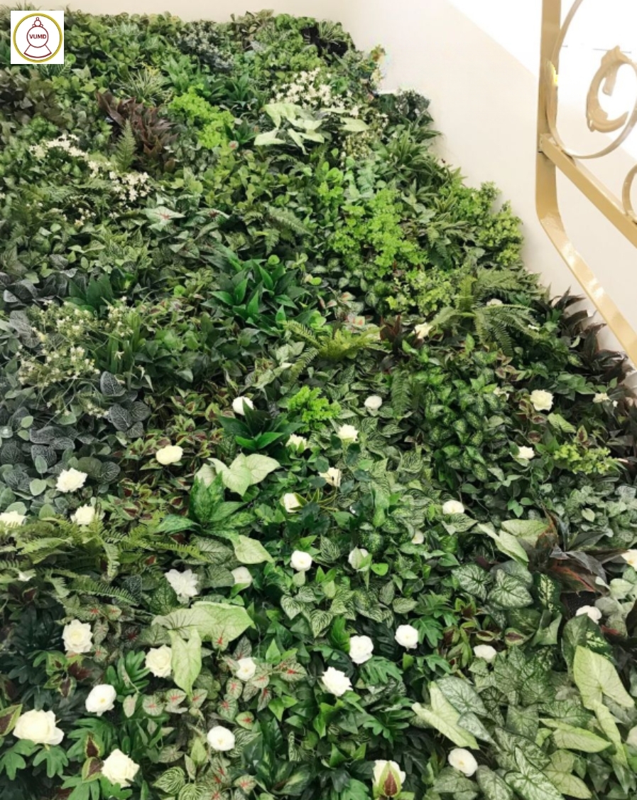 Mẫu cây trang trí không gian nhà đẹp