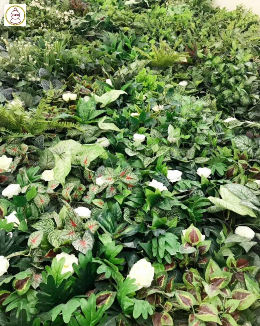 Mẫu cây trang trí không gian nhà đẹp