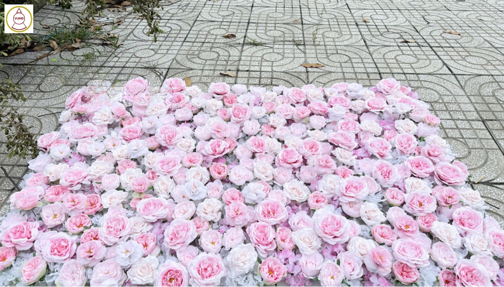 Hoa nhựa trang trí vách tường