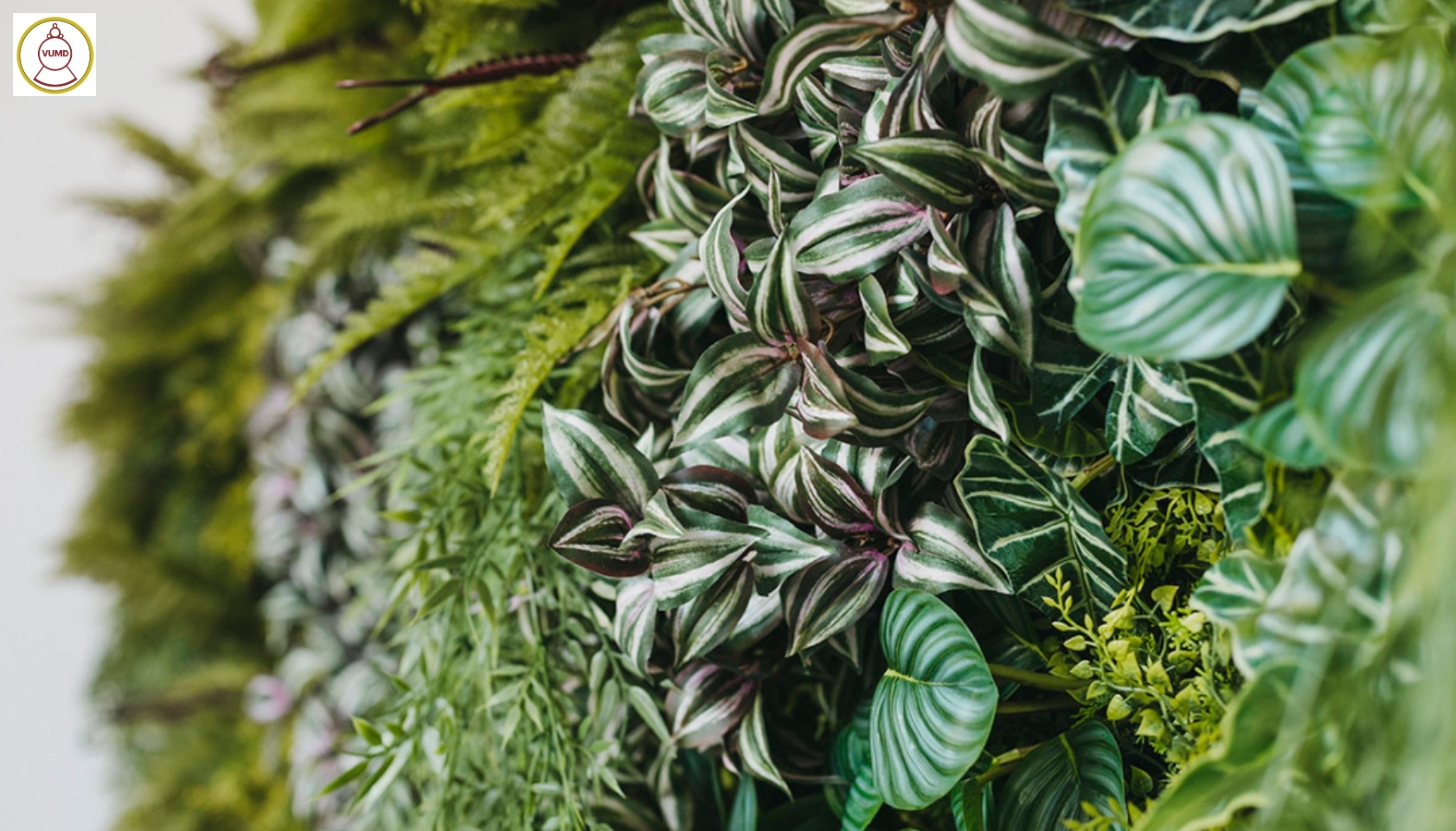 Tường cỏ xanh nhân tạo