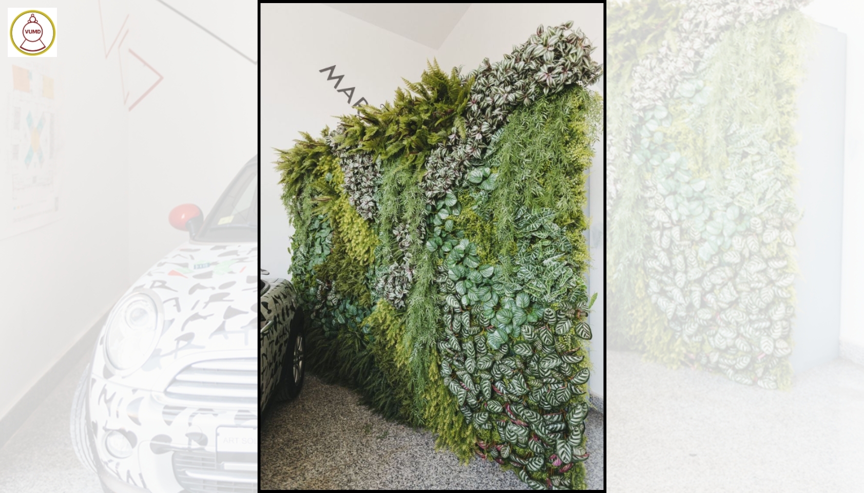 Tường cỏ xanh nhân tạo