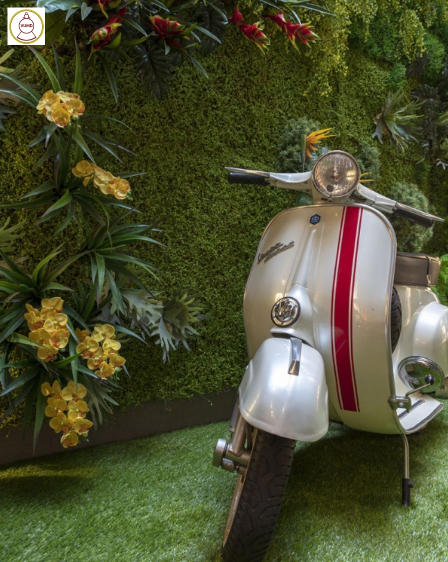 Tường cây lá nhân tạo trang trí vách nhà