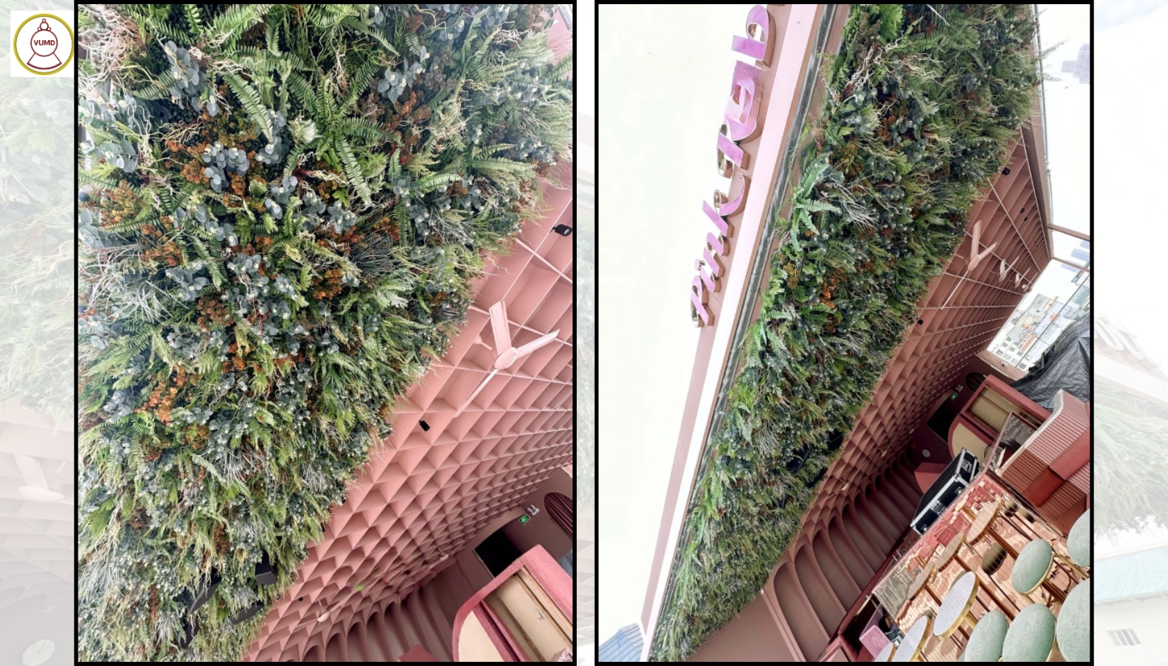 Mảng tường xanh nhân tạo