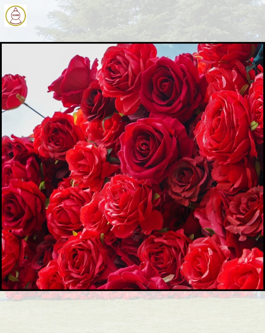 Tường hoa hồng nhân tạo