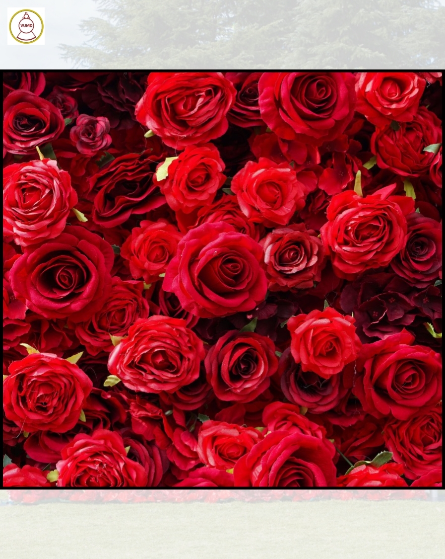 Tường hoa hồng nhân tạo