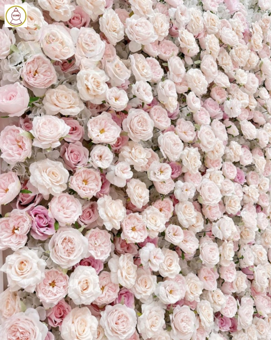 Tường hoa hồng cao cấp