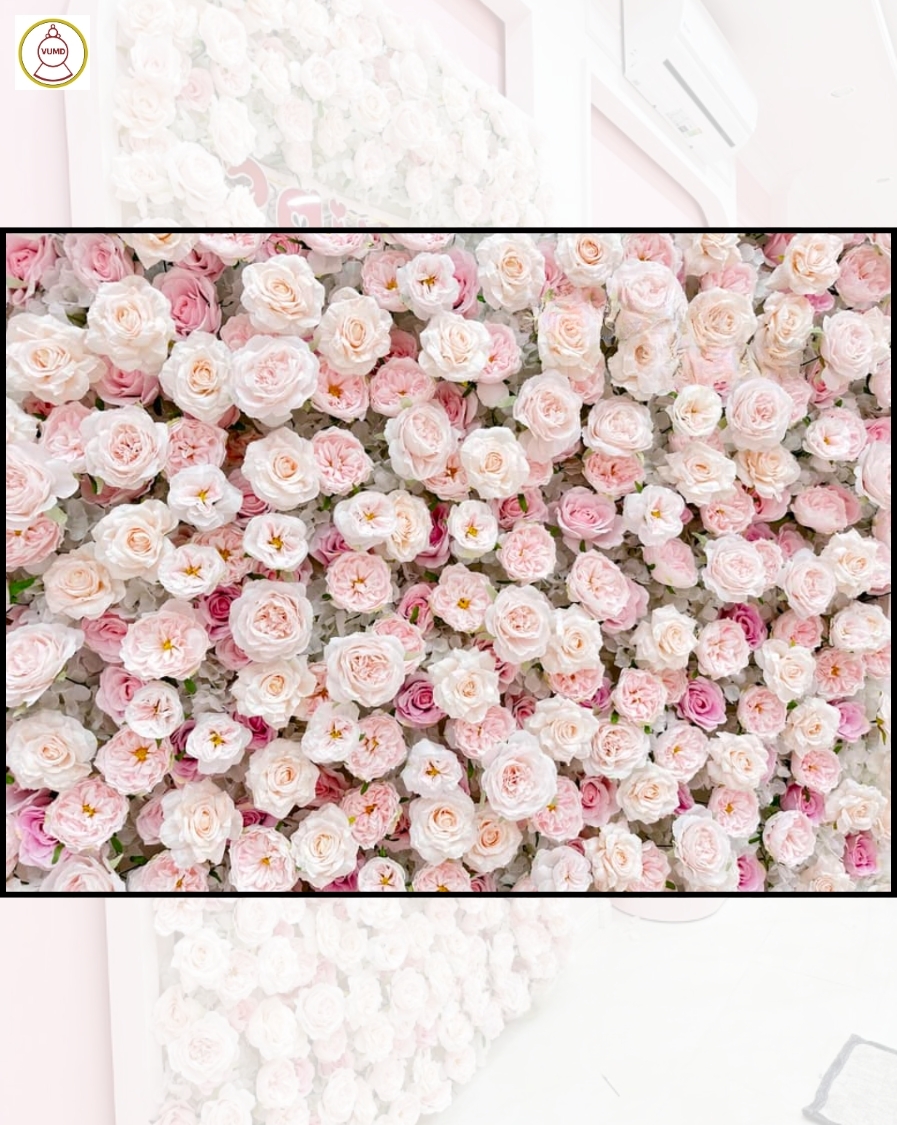 Tường hoa hồng cao cấp