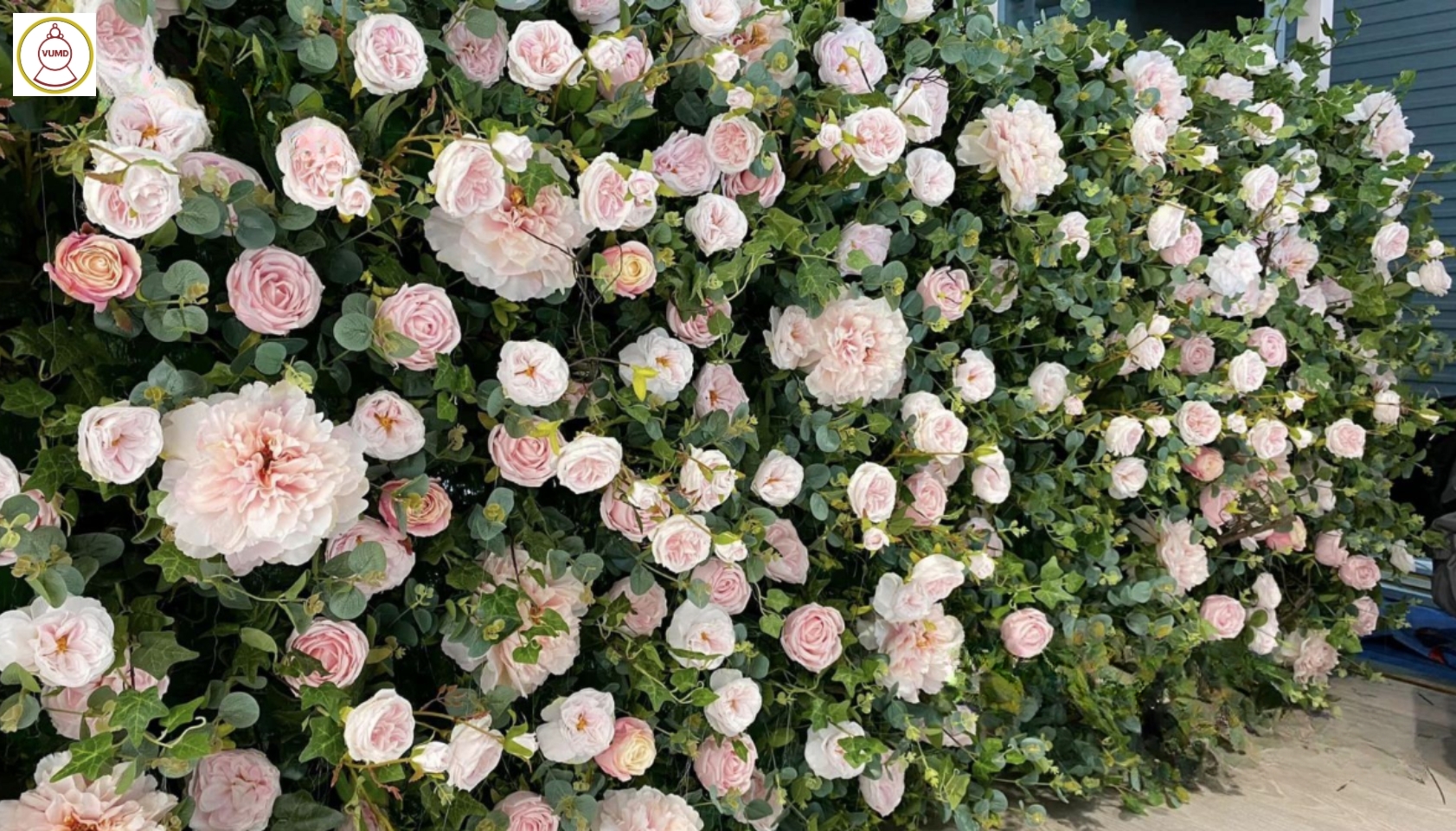 Trang trí vách tường hoa hồng