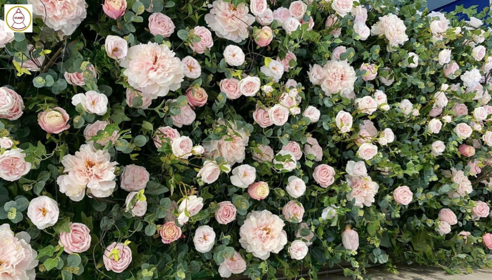 Trang trí vách tường hoa hồng