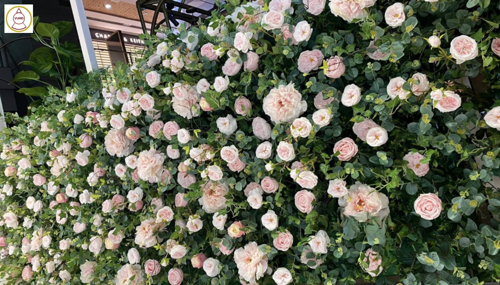 Trang trí vách tường hoa hồng