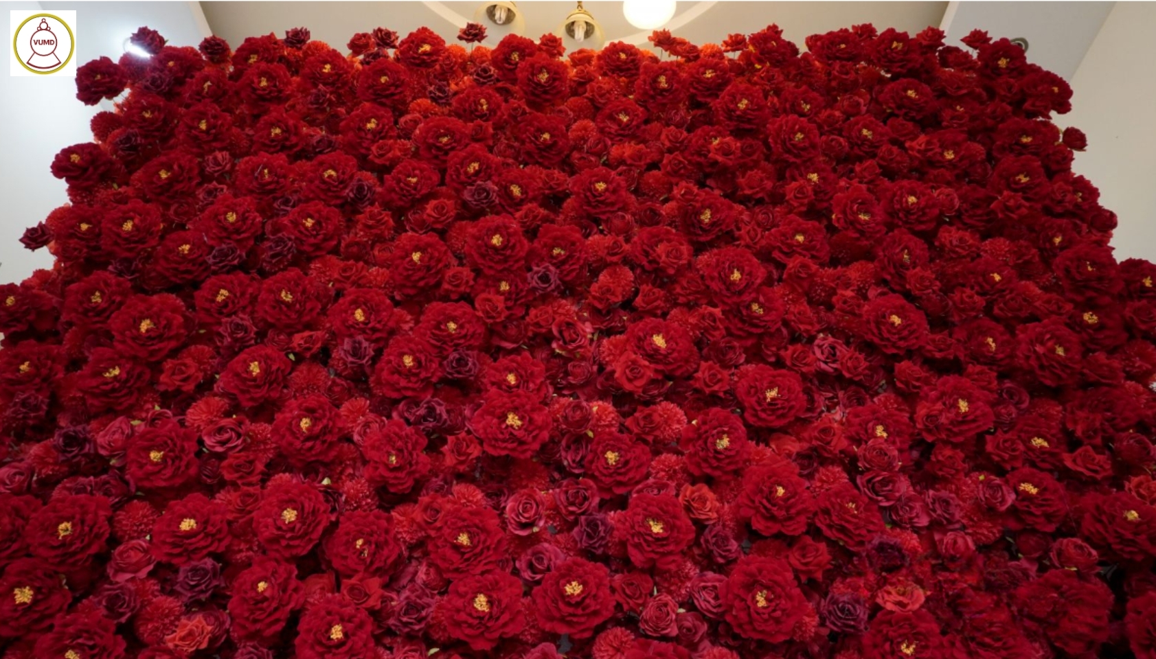 Tường hoa hồng đỏ