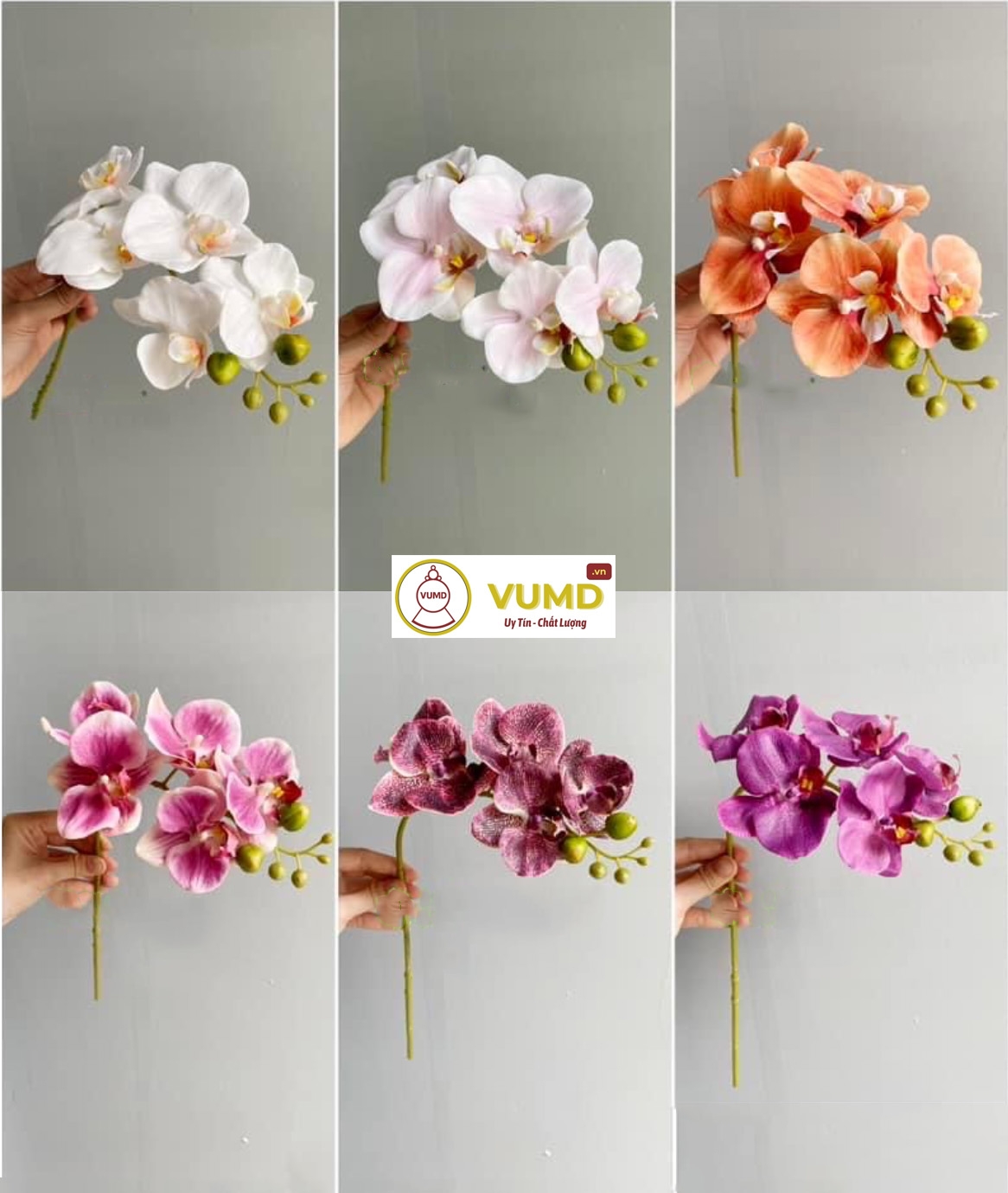 Cành lan hồ điệp cao su (7 bông)