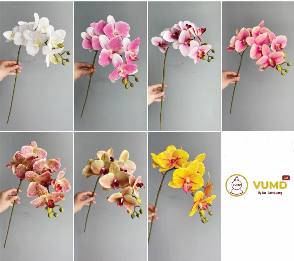Cành lan hồ điệp (7 bông)