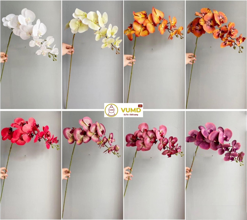Cành lan hồ điệp (9 bông)