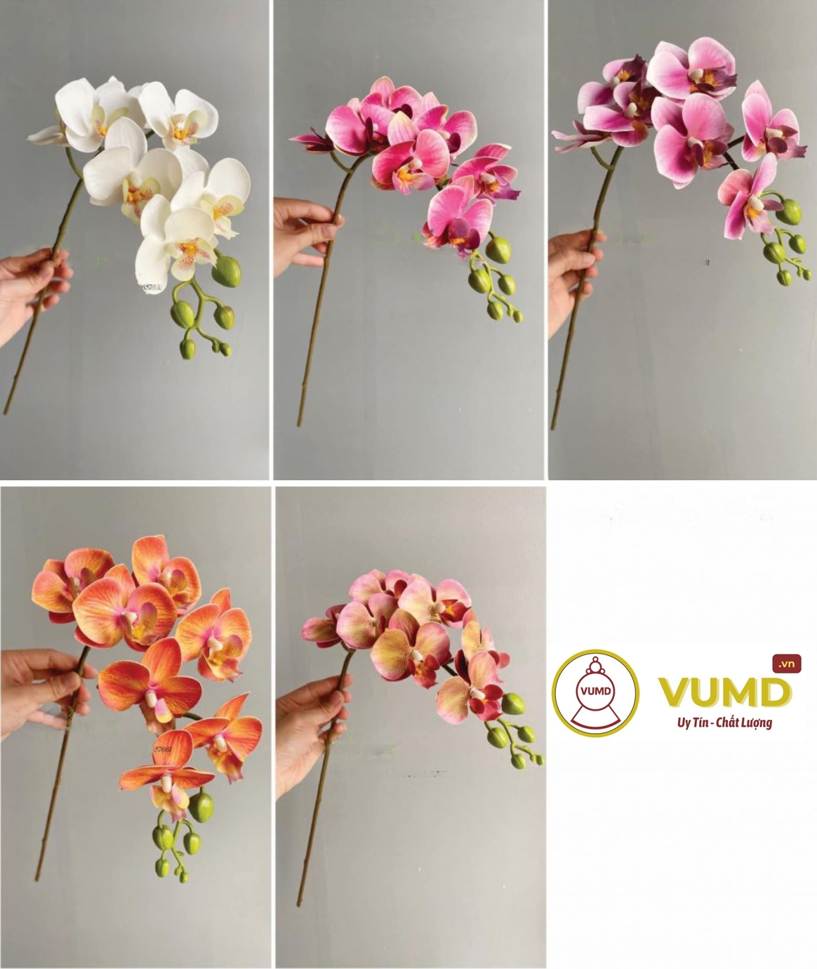 Cành tiểu hồ điệp (7 bông)