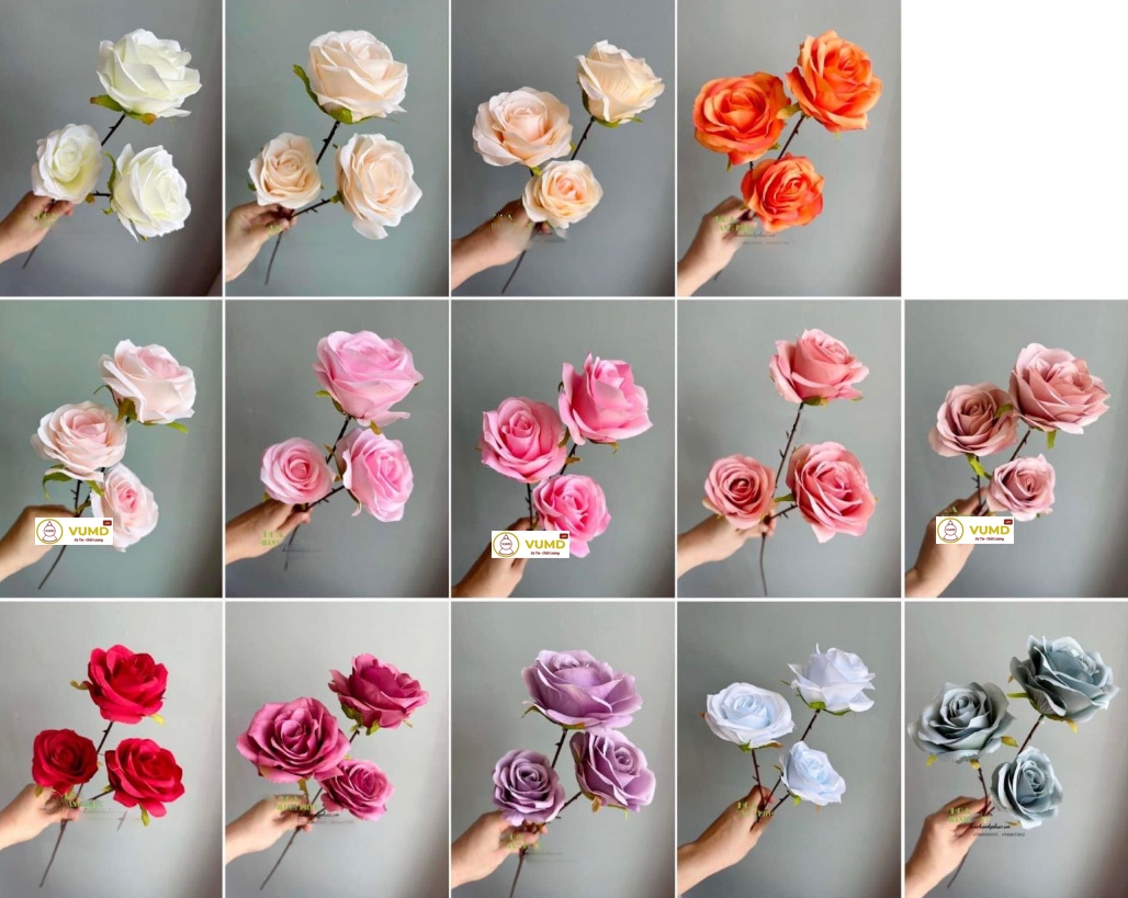 Cành hồng tông tươi cánh mịn