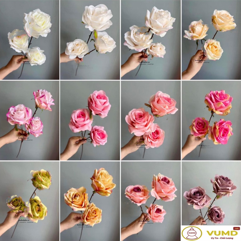 Cành hồng tông tươi